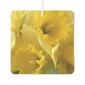 Désodorisant Pour Voiture Daffodils Jaunes carrés Air Freshener