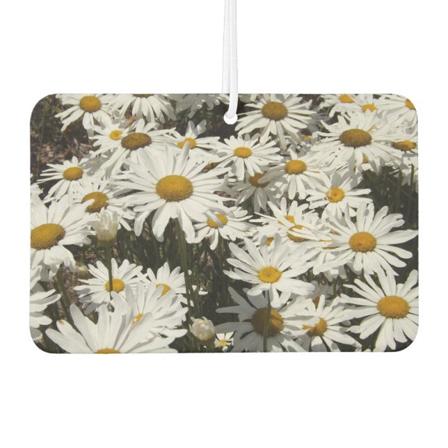 Désodorisant Pour Voiture Daisies Air Freshener (Devant)
