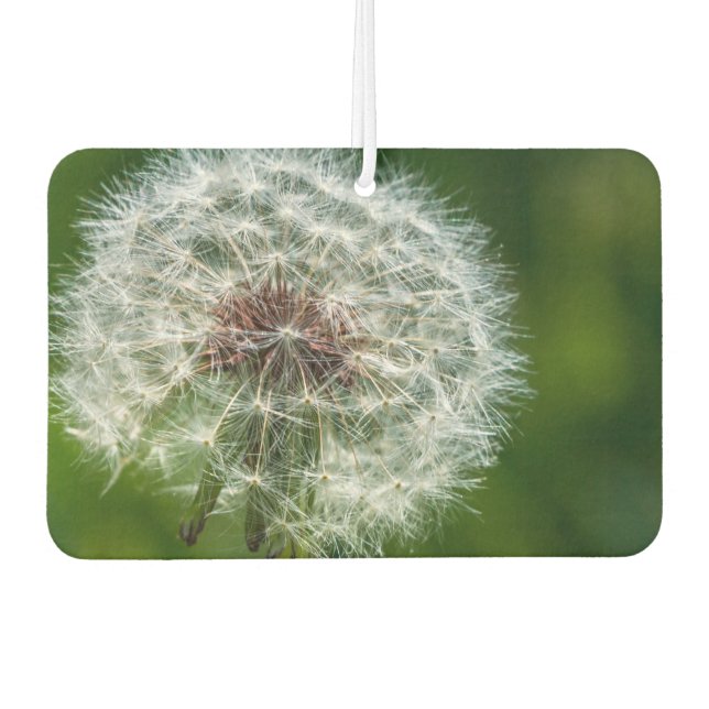 Désodorisant Pour Voiture Dandelion Dans La Lumière (Devant)
