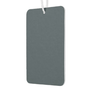 Désodorisant Pour Voiture Désodorisant de voiture gris charbon de senteur pr