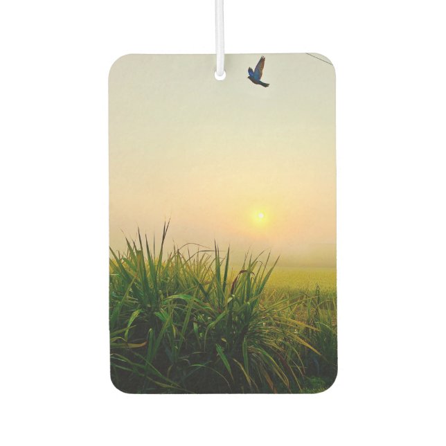 Désodorisant Pour Voiture désosseuse (Devant)