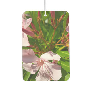 Désodorisant Pour Voiture Diffuseur d'air floral au laurier-rose pour voitur