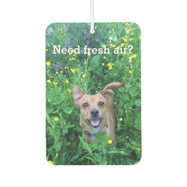 Désodorisant Pour Voiture Dog Photography personalized Air Freshener (Devant)