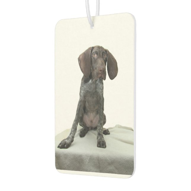 Désodorisant Pour Voiture Doublure d'air glacé Grizzly (Gauche)