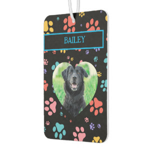 Désodorisant Pour Voiture Empreintes de pattes colorés Photo Chien
