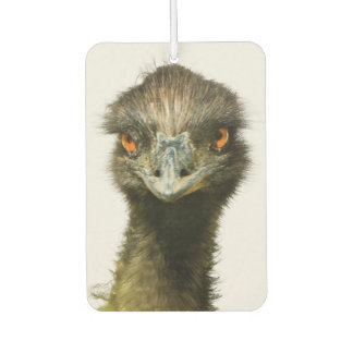 Désodorisant Pour Voiture Emu Look