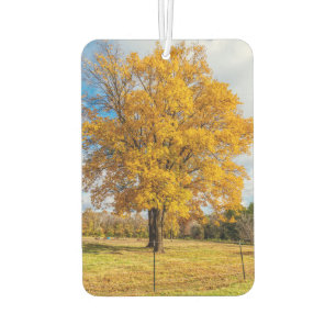 Désodorisant Pour Voiture Érable jaune sucre automne