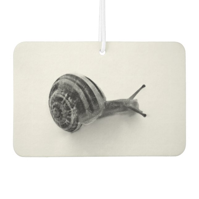 Désodorisant Pour Voiture Escargot (Devant)
