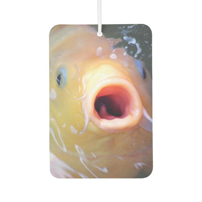 Désodorisant Pour Voiture Falln chantant Ghost Koi (Devant)