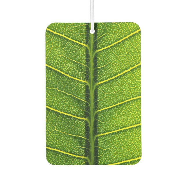 Désodorisant Pour Voiture Feuille verte (Devant)
