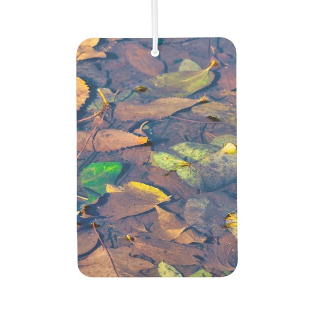 Désodorisant Pour Voiture Feuilles morts (Devant)