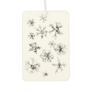 Désodorisant Pour Voiture Flèches de neige en chute délicate