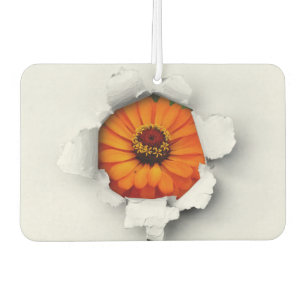 Désodorisant Pour Voiture Fleur