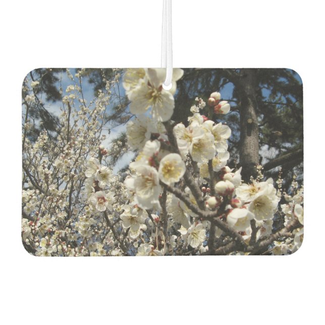 Désodorisant Pour Voiture Fleur de cerisier blanc / Sakura / ク(桜) (Devant)
