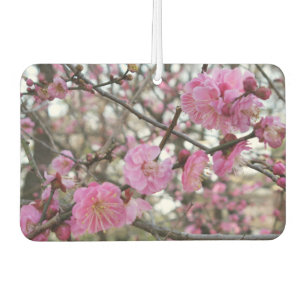 Désodorisant Pour Voiture Fleur de cerisier rose / Sakura / ク(桜)