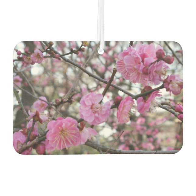 Désodorisant Pour Voiture Fleur de cerisier rose / Sakura / ク(桜) (Devant)