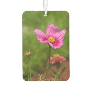 Désodorisant Pour Voiture Fleur de cosmos rose vif sur vert
