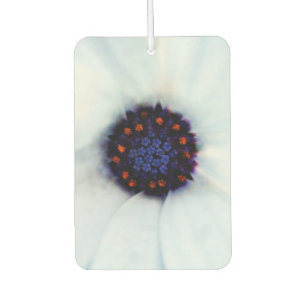 Désodorisant Pour Voiture Fleur de Marguerite Africaine