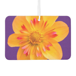 Désodorisant Pour Voiture Fleur désodorisante