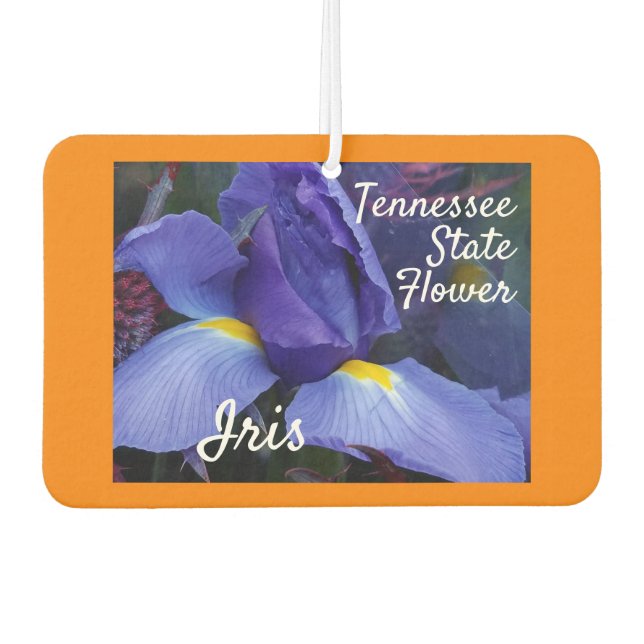 Désodorisant Pour Voiture Fleur d'État du Tennessee Iris Nature (Devant)