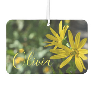 Désodorisant Pour Voiture Fleur Jaune Fleur Florale Nature Photographie