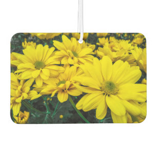 Désodorisant Pour Voiture Fleurs