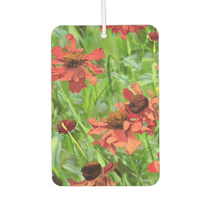 DÉSODORISANT POUR VOITURE FLEURS DE RUDBECKIA ROUGES