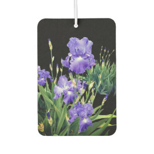 Désodorisant Pour Voiture Fleurs d'iris bleu foncé