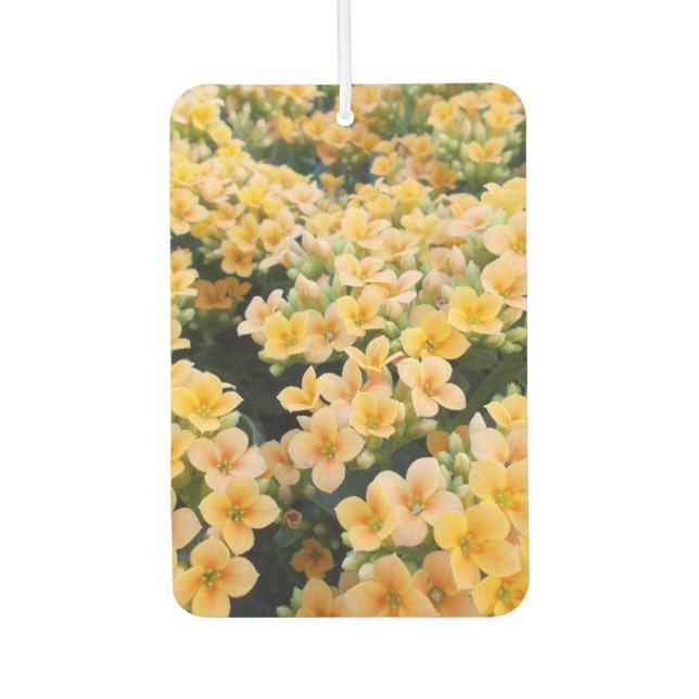 Désodorisant Pour Voiture Fleurs Jaunes (Devant)