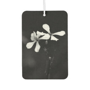 Désodorisant Pour Voiture floral noir et blanc minimal