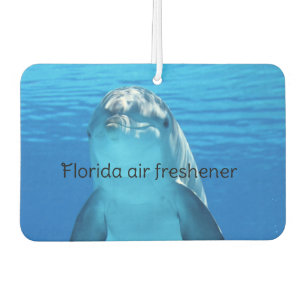Désodorisant Pour Voiture Floride