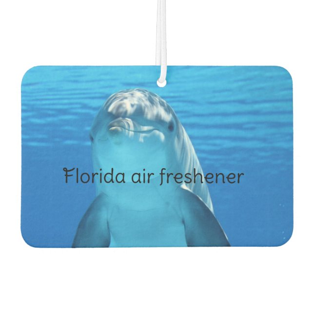 Désodorisant Pour Voiture Floride  (Devant)