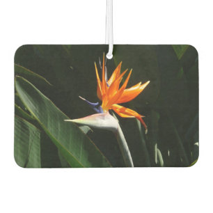 Désodorisant Pour Voiture Flower tropical orange paradise