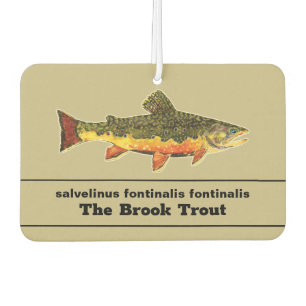 Désodorisant Pour Voiture Fly Fishing for a Brookie - Brook Trout Fisherman