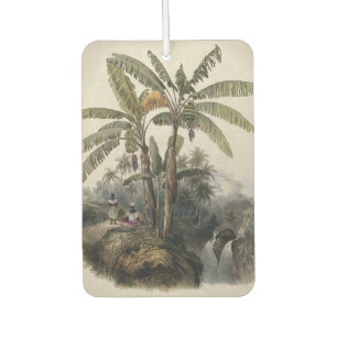 Désodorisant Pour Voiture Forêt de bananiers tropicaux antiques   Bota vinta