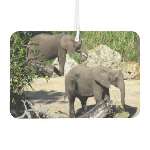 Désodorisant Pour Voiture Fraîcheur d'air éléphant