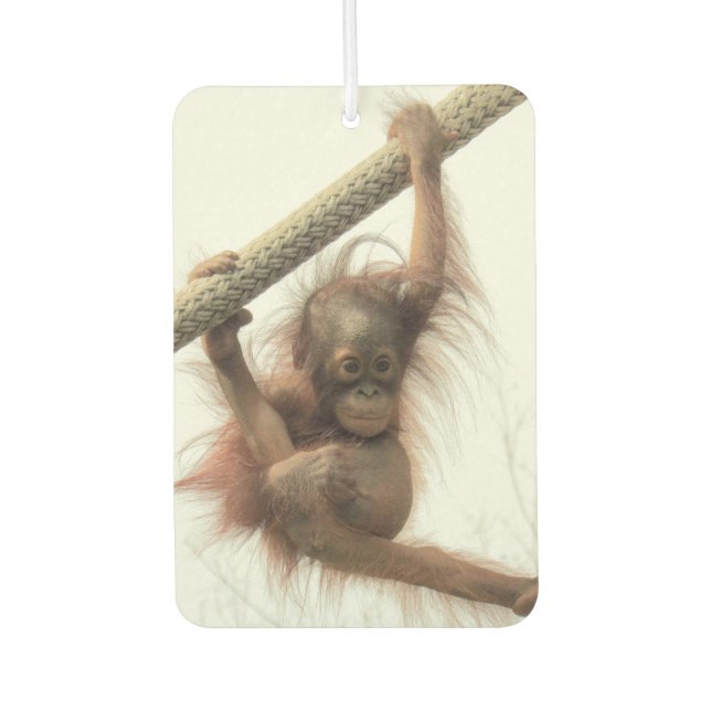 Désodorisant Pour Voiture Fraîcheur d'air Orangutan (Devant)