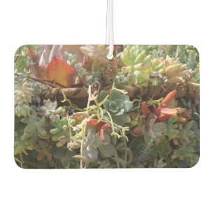 Désodorisant Pour Voiture Fraîcheur d'air Succulent