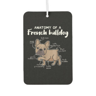 Désodorisant Pour Voiture Frenchie Gift Anatomie D'Un Cadeau Français De B