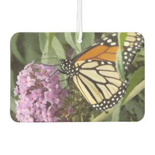 Désodorisant Pour Voiture Freshener à air papillon