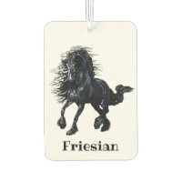 Friésien, étalon noir, j'aime mon Friésien