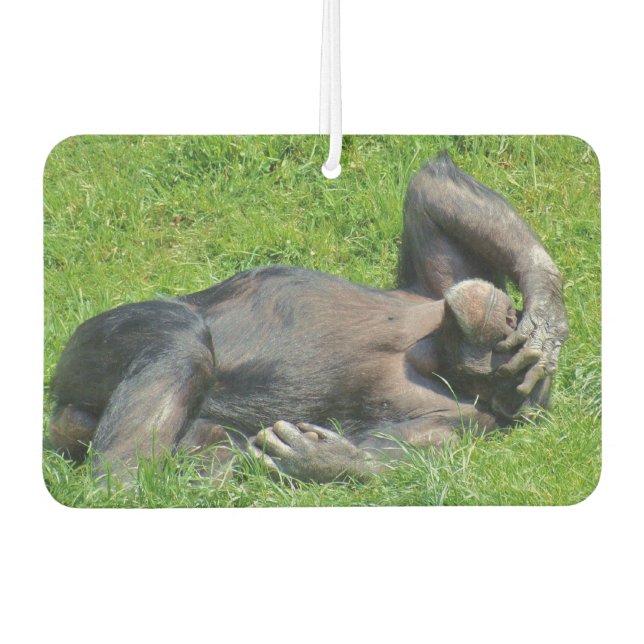 Désodorisant Pour Voiture Funny Chimpanzé Photo (Devant)