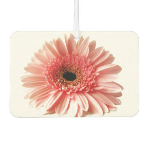 Désodorisant Pour Voiture Gerbera Daisy