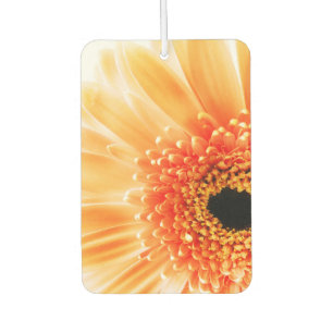 Désodorisant Pour Voiture Gerbera Daisy