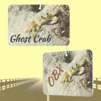 Ghost Crab OBX Outer Banks NC Photographie