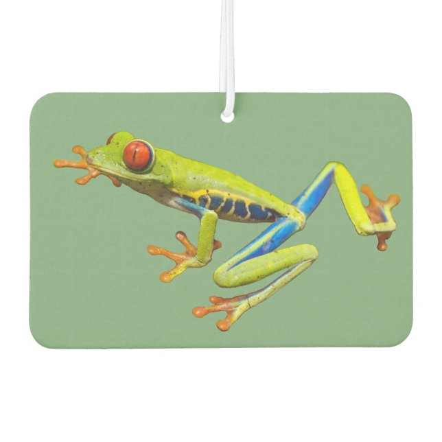 Désodorisant Pour Voiture Grenouille des arbres (Devant)