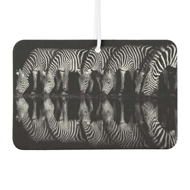 Désodorisant Pour Voiture Groupe de zèbres des plaines boivent ensemble la n (Devant)