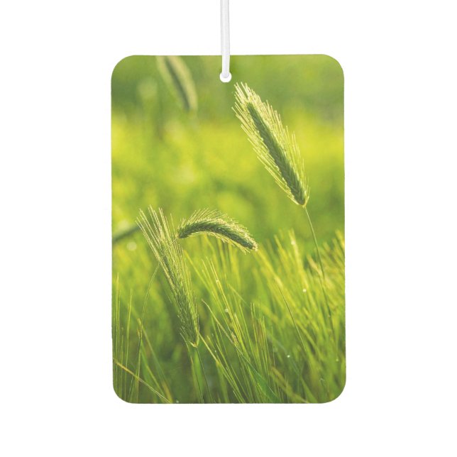Désodorisant Pour Voiture herbe verte (Devant)