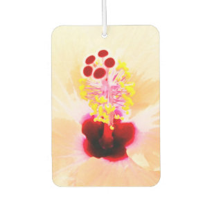 Désodorisant Pour Voiture Hibiscus