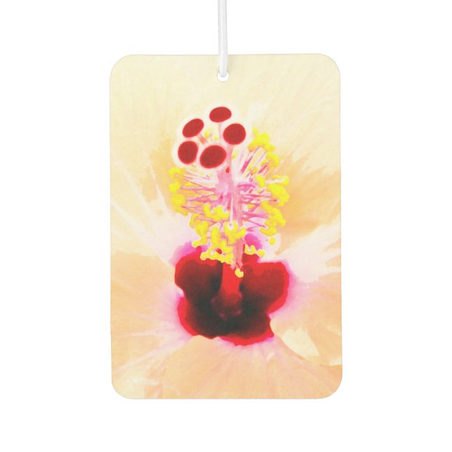 Désodorisant Pour Voiture Hibiscus (Devant)